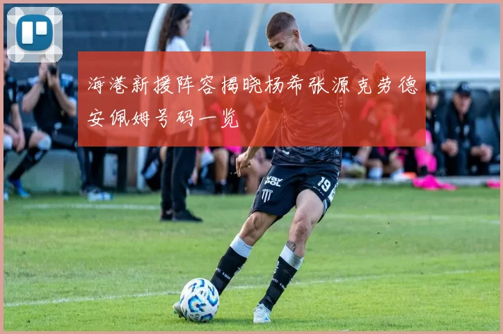 海港新援阵容揭晓杨希张源克劳德安佩姆号码一览