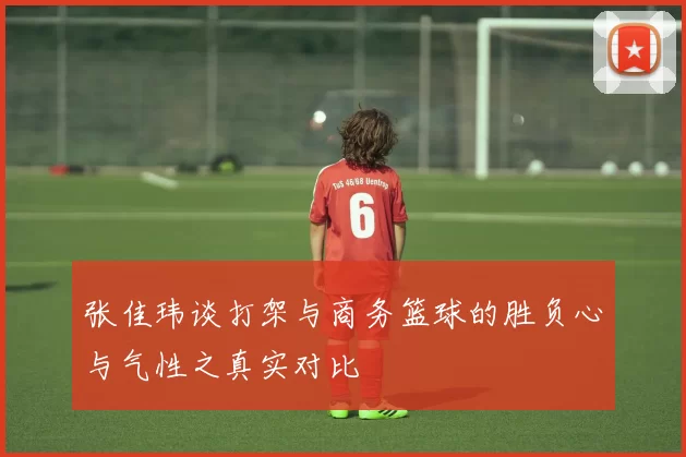 张佳玮谈打架与商务篮球的胜负心与气性之真实对比