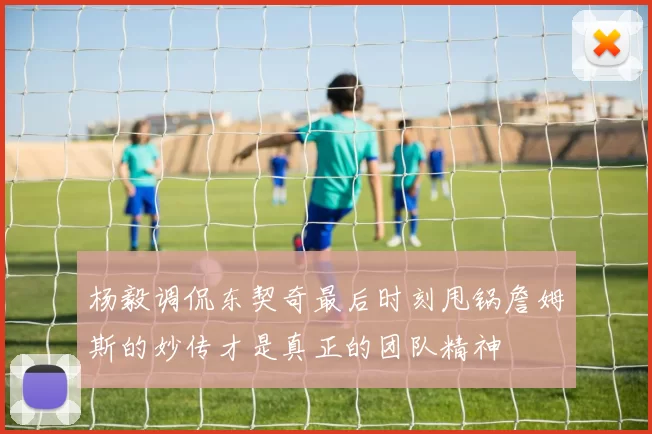 杨毅调侃东契奇最后时刻甩锅詹姆斯的妙传才是真正的团队精神